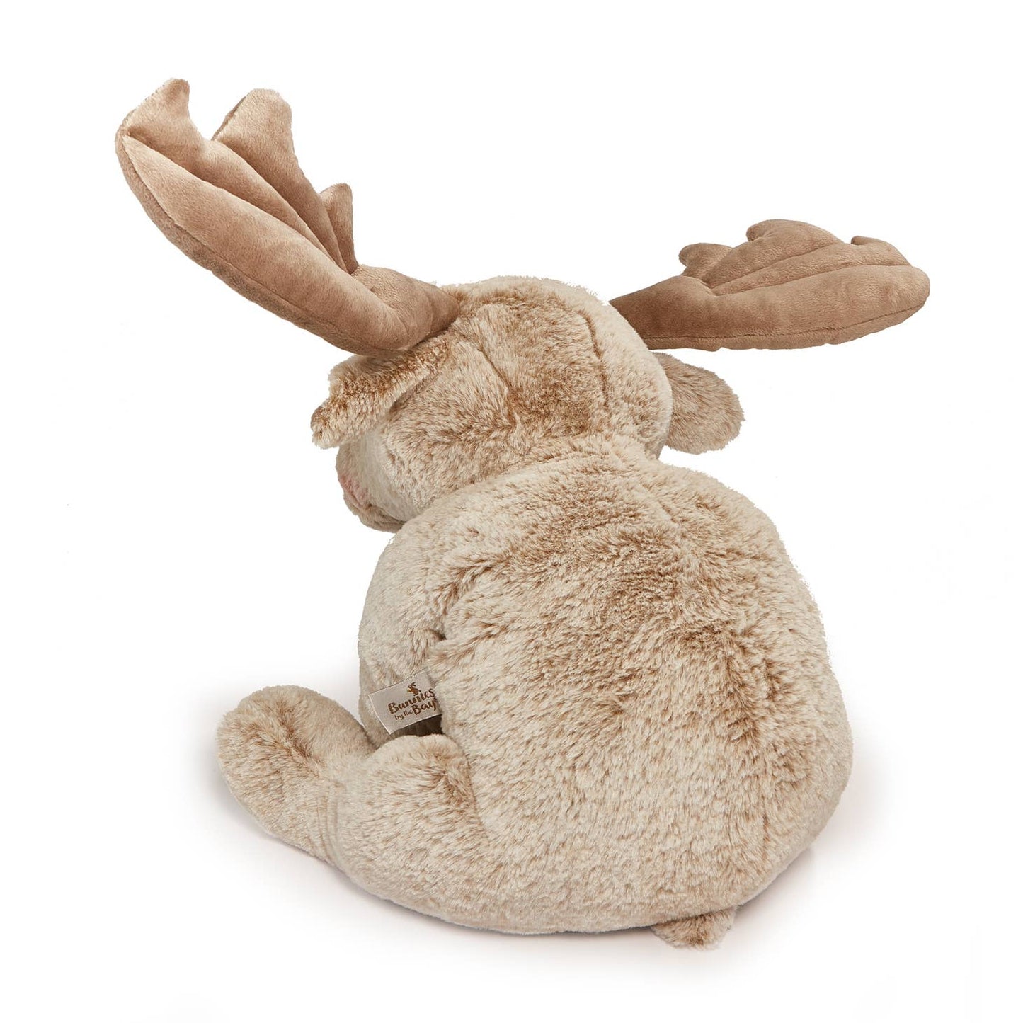 Bunnies By The Bay - Great Big Bruce the Moose