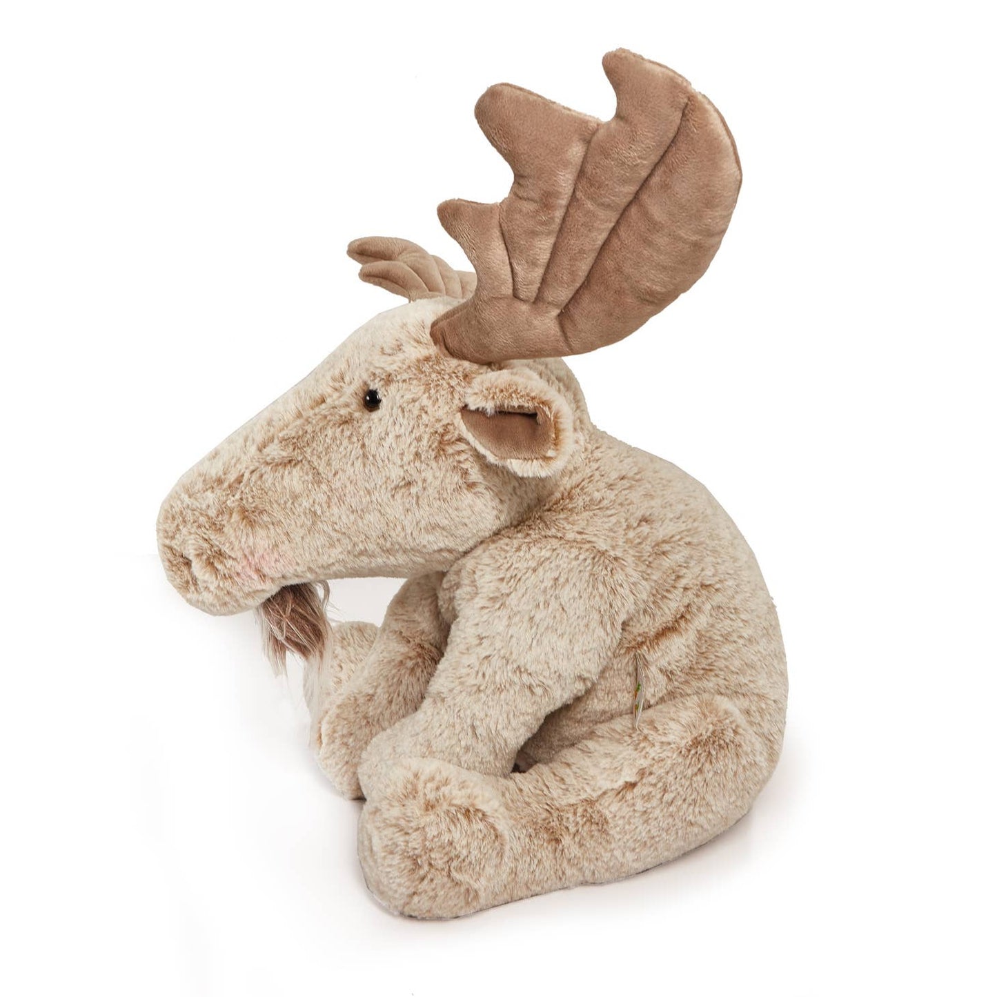 Bunnies By The Bay - Great Big Bruce the Moose