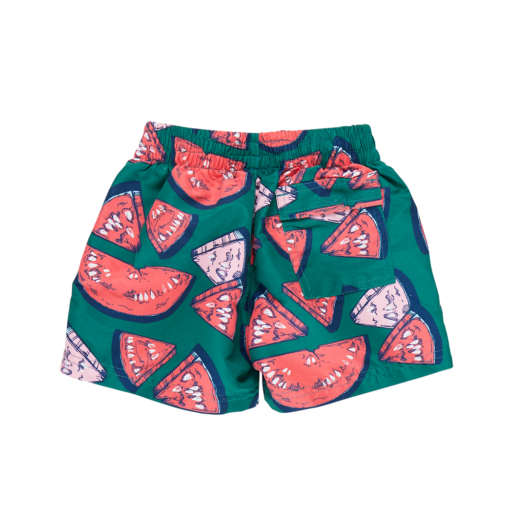 Pink Chicken Boys Swim Trunk - Green Watermelon Puzzle