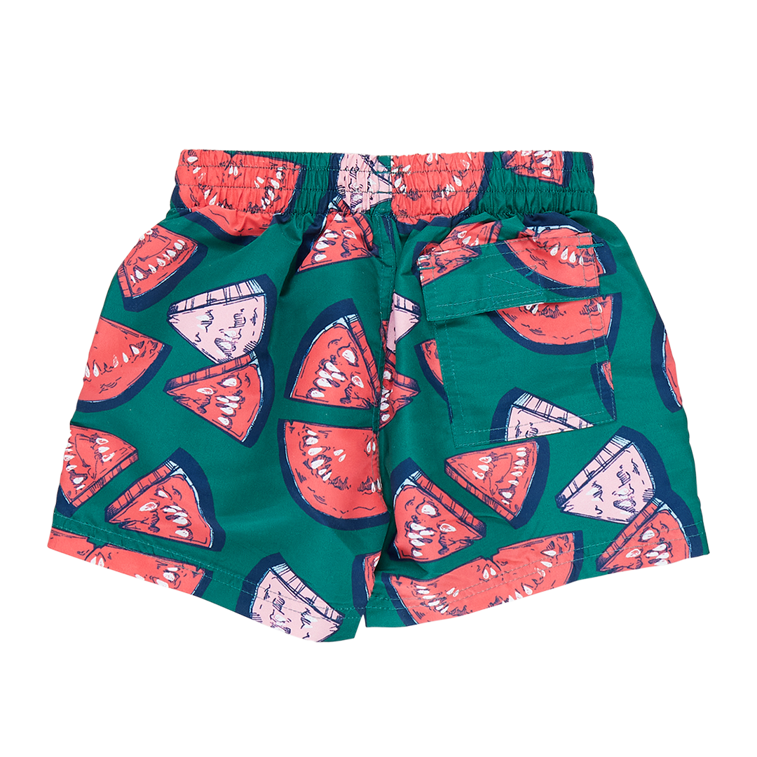 Pink Chicken Boys Swim Trunk - Green Watermelon Puzzle