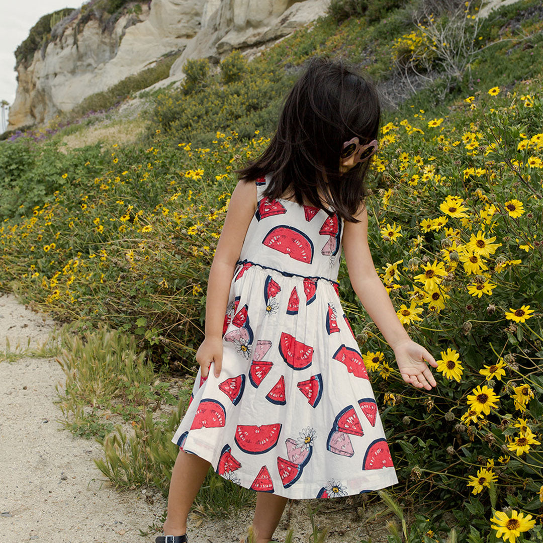 Pink Chicken Girls Sierra Dress - Slice of Summer