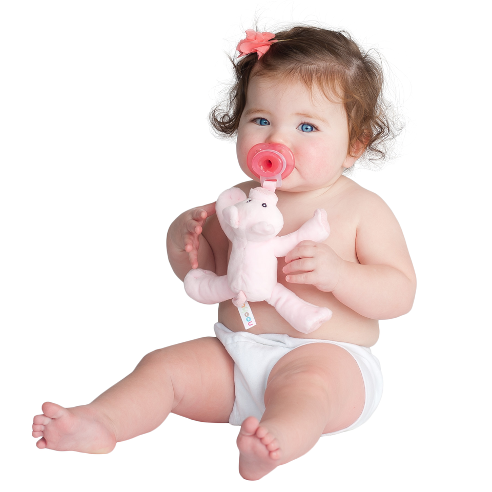 Nookums Paci-Plushies Shakies - Pigi Pig