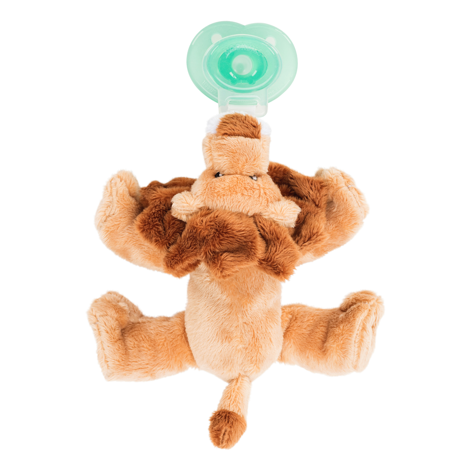 Nookums Paci-Plushies Buddies - Leo Lion