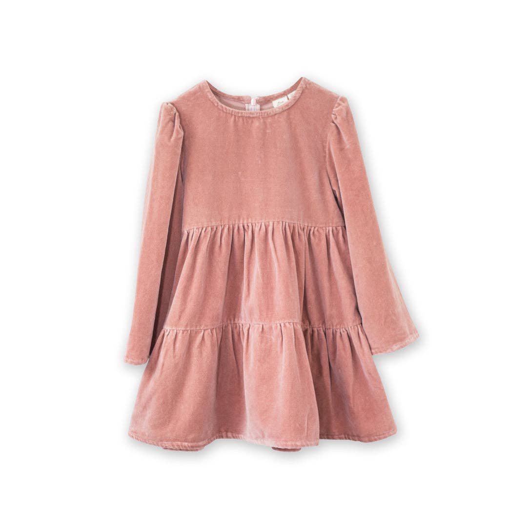Blush Pink Velvet Holly Dress