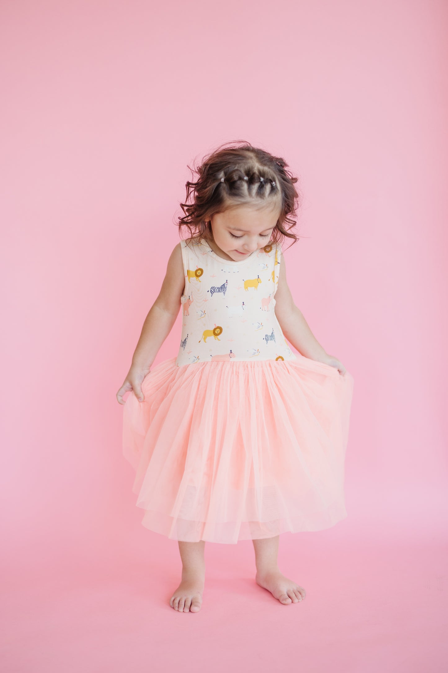 Birthday Party Animals Tulle Tutu Dress
