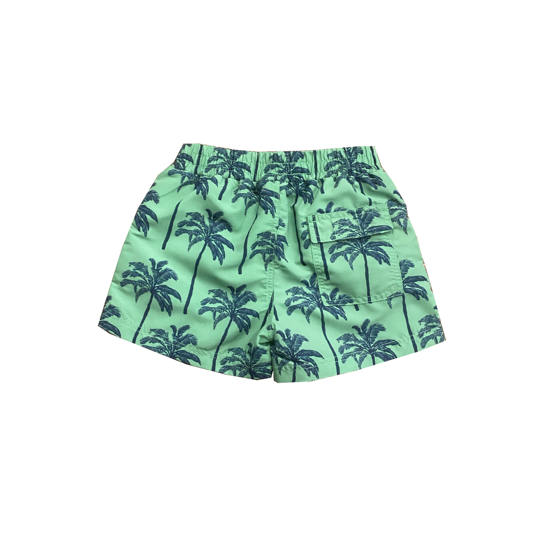 Pink Chicken Palms Boys Swim Trunk