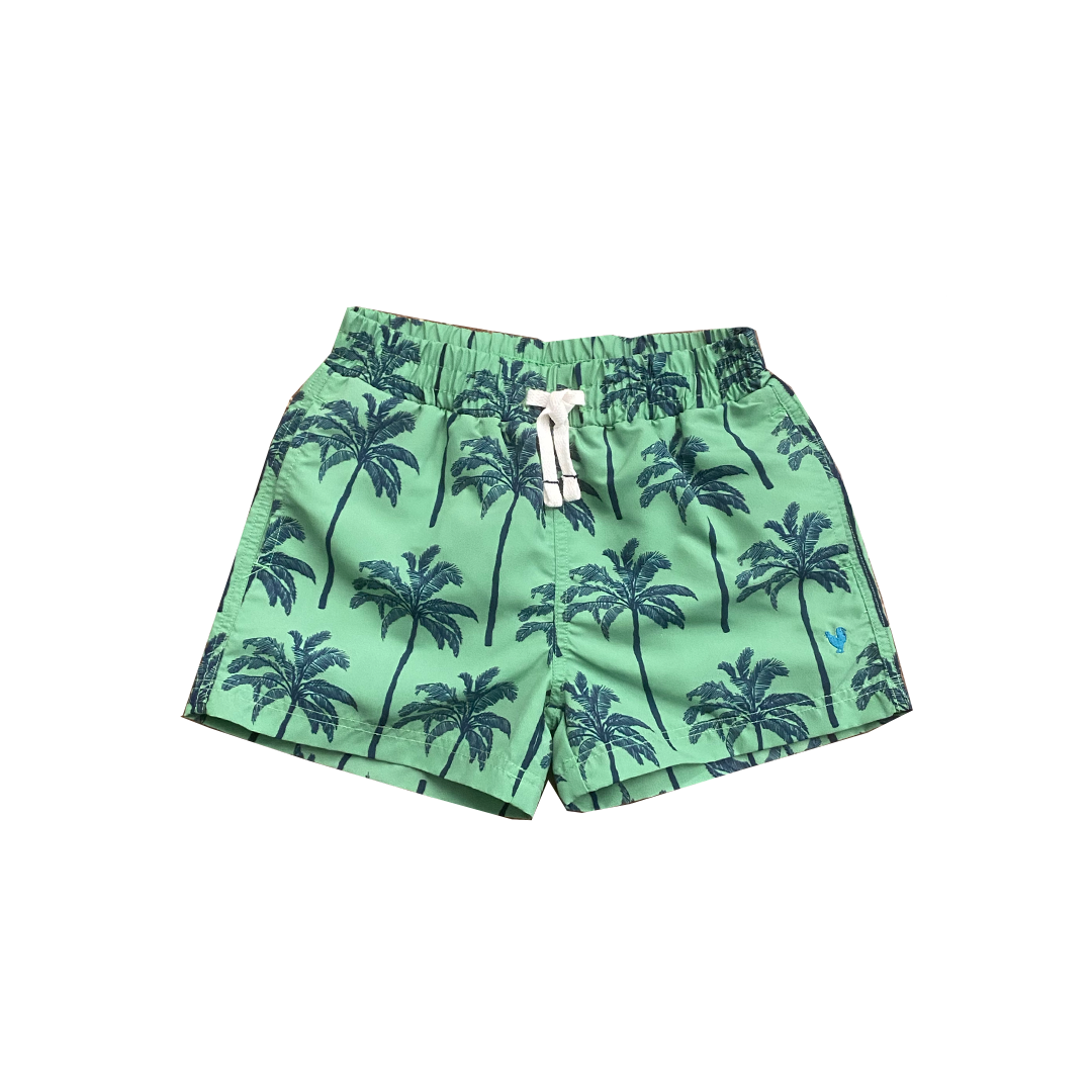 Pink Chicken Palms Boys Swim Trunk