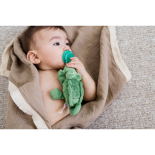 Nookums Paci-Plushies Buddies - Alli Alligator