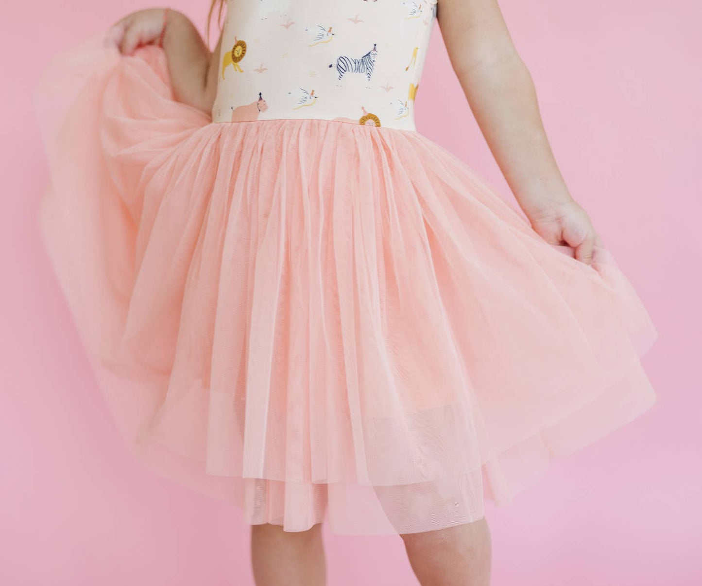 Birthday Party Animals Tulle Tutu Dress