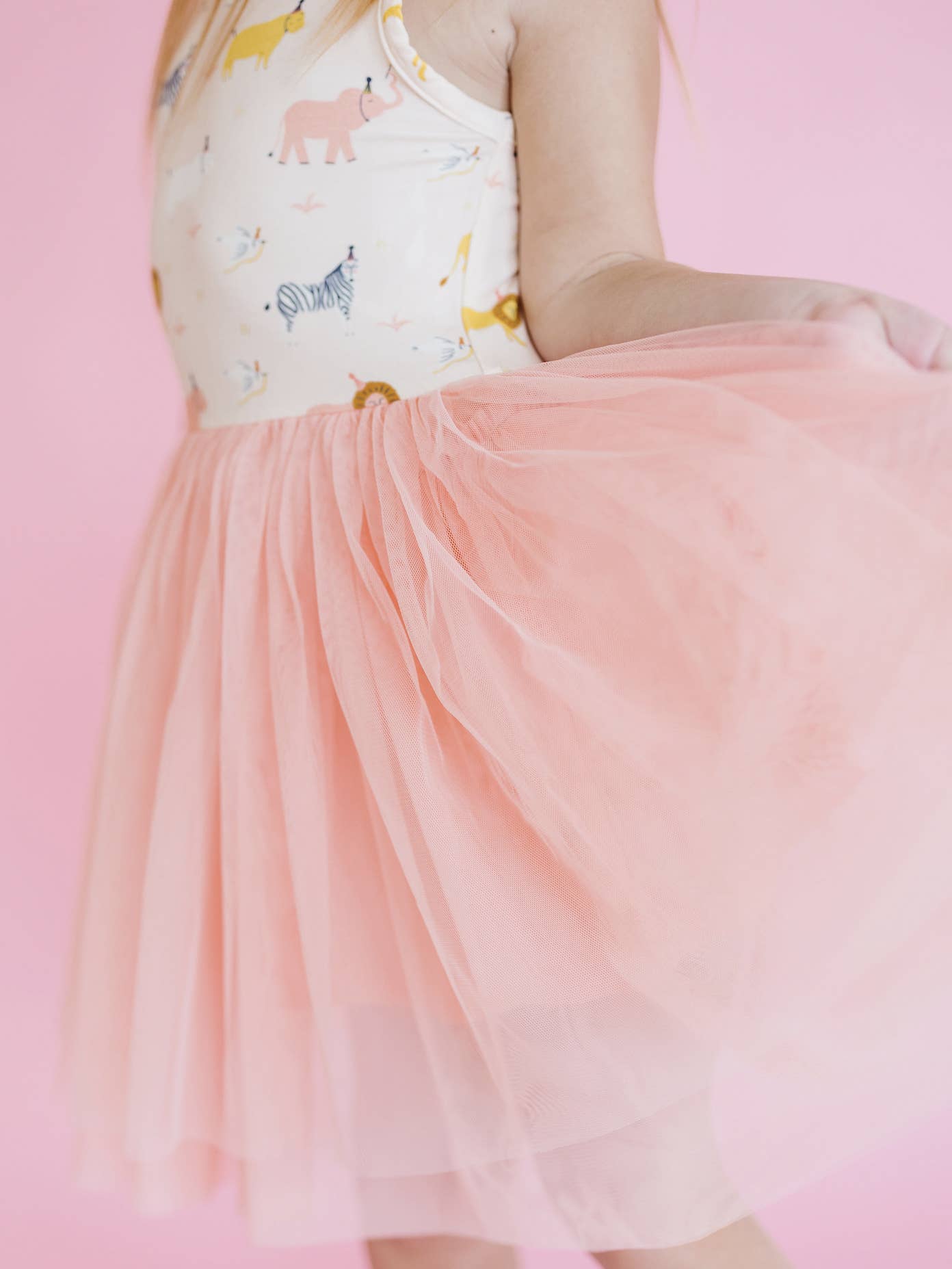 Birthday Party Animals Tulle Tutu Dress