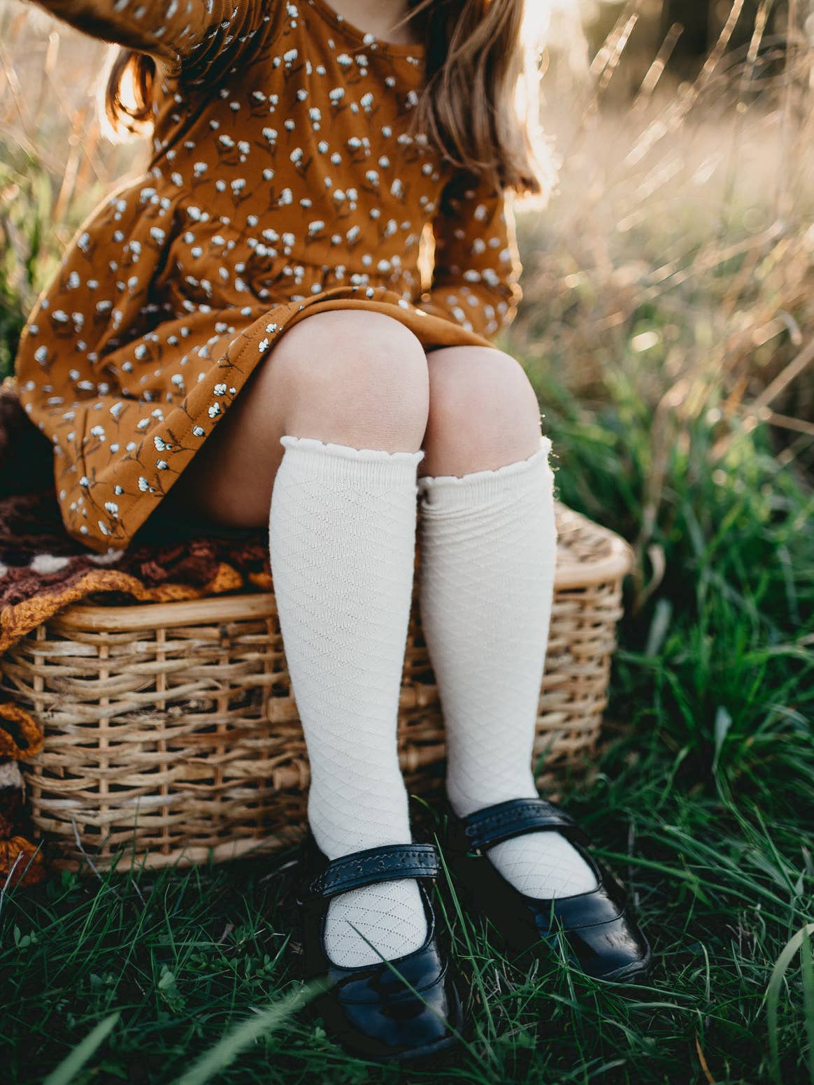 Picnic Knee-High Socks - Azure or Macaroon